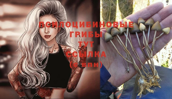 метадон Арсеньев