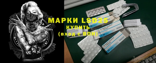 ГАЛЛЮЦИНОГЕННЫЕ ГРИБЫ Аркадак