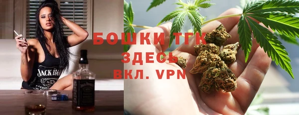 ГАЛЛЮЦИНОГЕННЫЕ ГРИБЫ Аркадак
