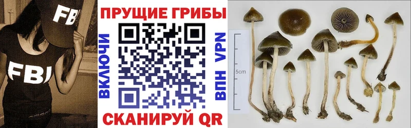 Псилоцибиновые грибы мухоморы  Сергач 